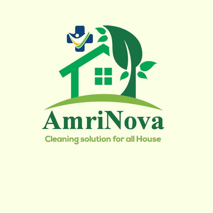 AmriNova Solutions Logo